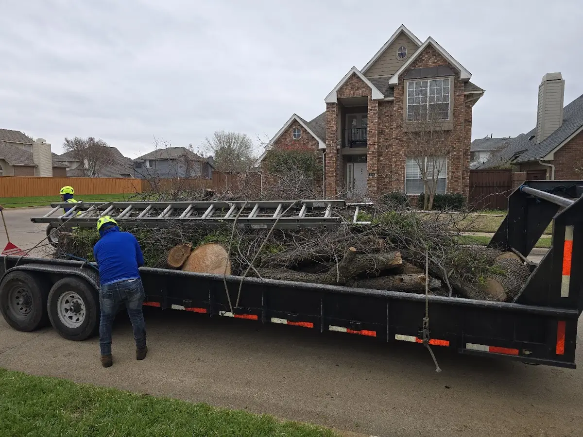 Expert Crown Reduction with proper safety equipment in Marion
